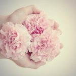 Clean Beauty Hand Creams